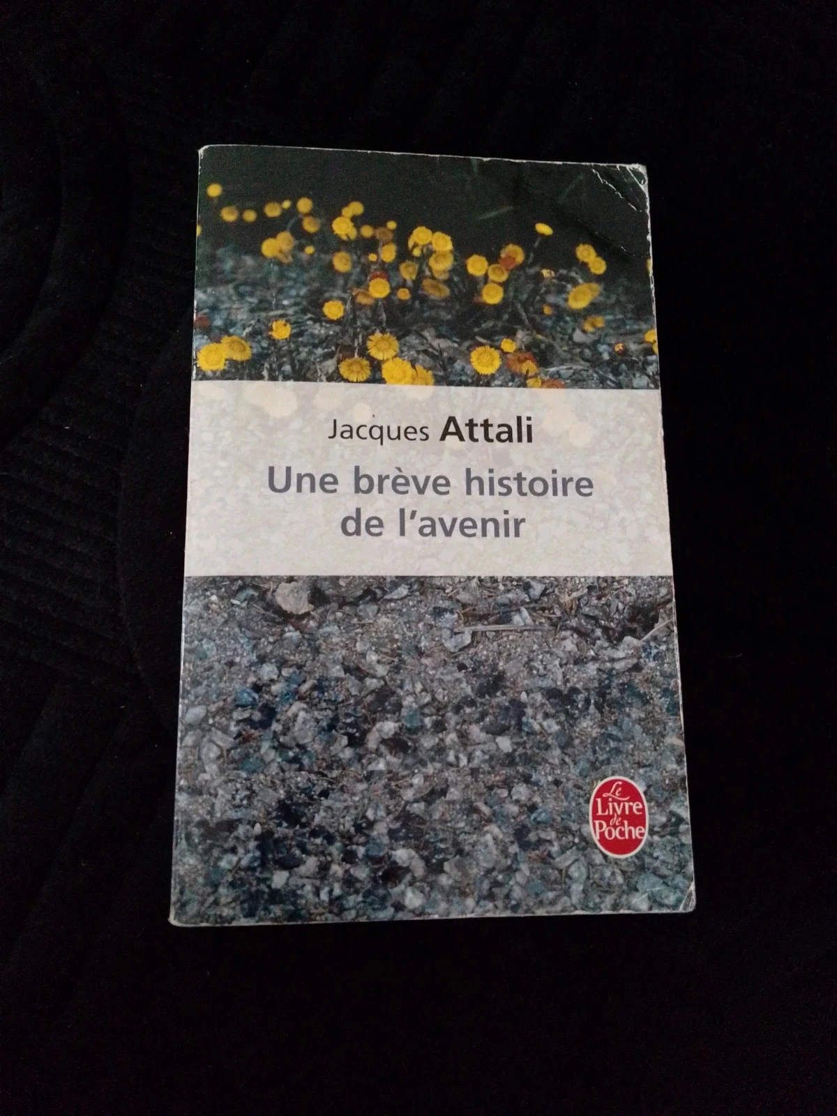 Une brève histoire de l'avenir jacques Attali